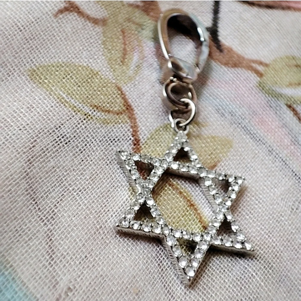 Star of David Jewish Rhinestone Silver Tone Purse Zipper Pet Charm Keychain NEW